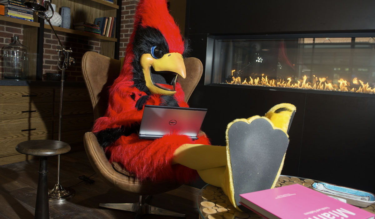 Cardinal Mascot studying in front of a fireplace